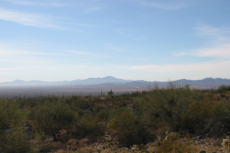 ../image/view in desert museum.jpg